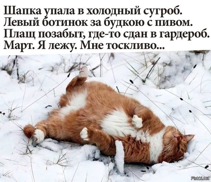 ��� ���� - 2 ����� 2026 � 22:24
