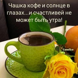 ���� �����, �����, 42 ���� - ��������� 18 ������ 2023