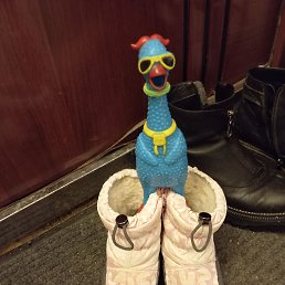 ���� ������, �����, 47 ��� - ��������� 10 ����� 2026