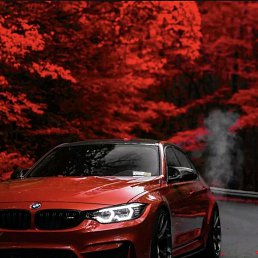 ���� ����, ���������, 26 ��� - ��������� 20 ���� 2025