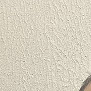 �����, 40 ���, ������