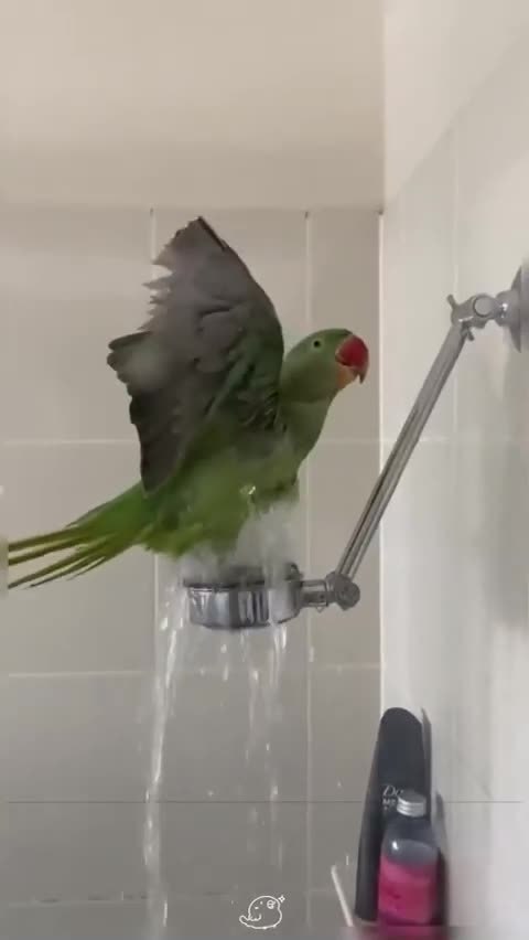 ������� - ��� ��� �������� ��������! - 2