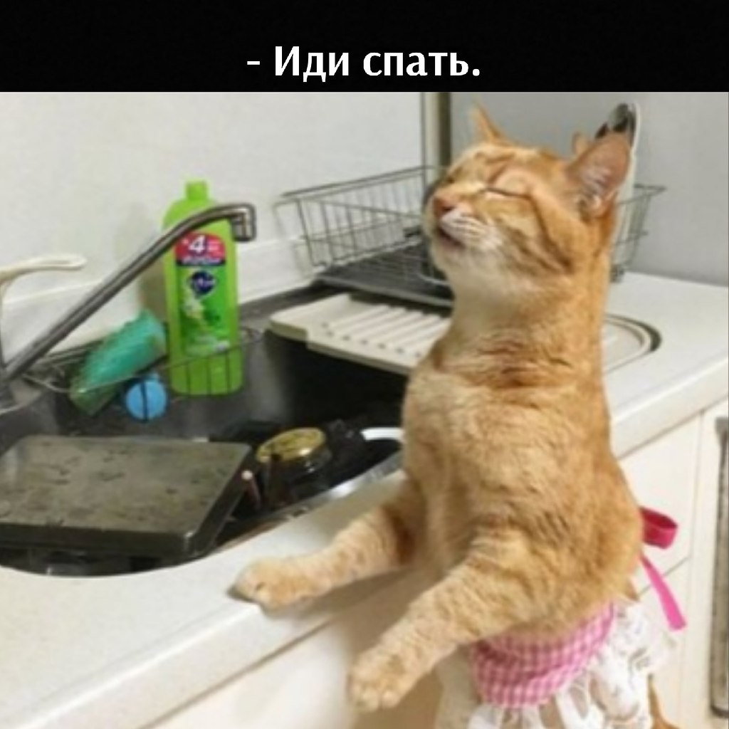��� ���� � ����� �� �� - 13 ����� 2026 � 17:30 - 5