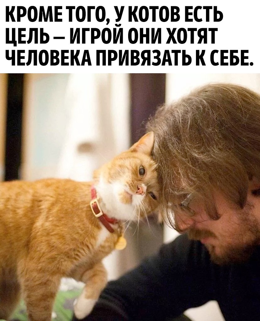      - 3