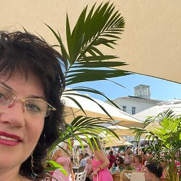 �����, ���������, 61 ���