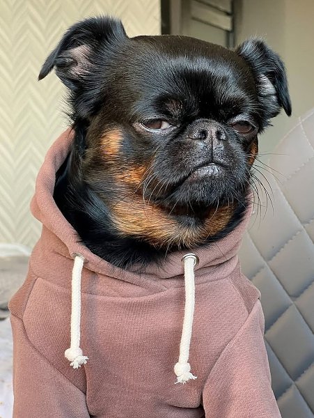 � ������ ���� �� 11:00 - 4