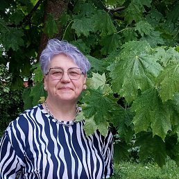 ���� �����, ������, 62 ���� - ��������� 25 ��� 2025