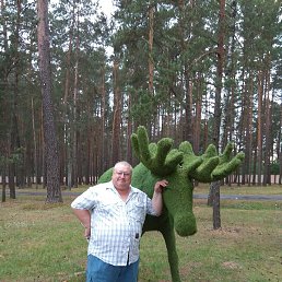 ����, �������, 55 ���