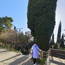 ���� ������, ���������, 70 ��� - ��������� 11 ����� 2026 � ������ ���� ����������