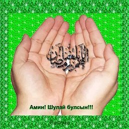 ���� ���, ������, 42 ���� - ��������� 16 ������ 2023