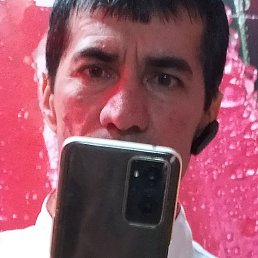 �����, �����������, 46 ���