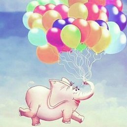 ����, ������, 41 ���