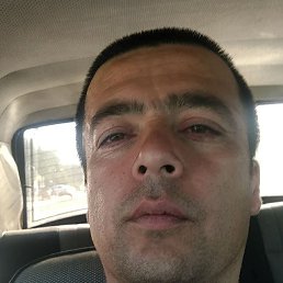  , 43, 