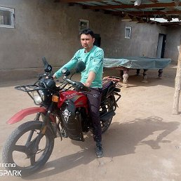 Fegafur, ������, 39 ���
