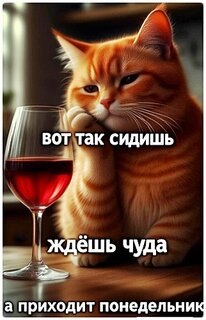 ���� �����, �����������, 63 ���� - ��������� 17 ����� 2026