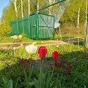 ���� ��������, �����, 75 ��� - ��������� 20 ������� 2024 � ������ ���� ����������