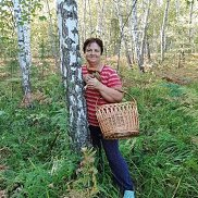 ������, 66 ���, ����