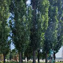 ���� ��������, �������, 53 ���� - ��������� 8 ������� 2025 � ������ ���� ����������