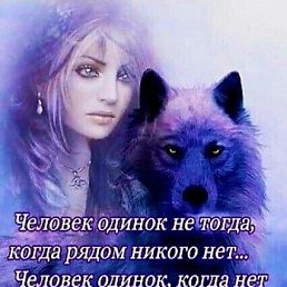 ���� ����, ���������, 62 ���� - ��������� 4 ������ 2026