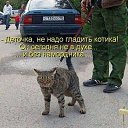 ���� ����, ��������� - ��������� 22 ������� 2025 � ������ ������ ��������