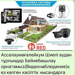 �����, ������, 46 ���