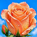 ���� �����, ������ - ��������� 13 ����� 2026 � ������ ������ ��������