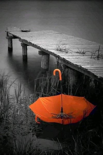 :) Самые трудные дороги в жизни, мы проходим не ногами, а душой... -------------------------- ...