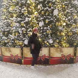 �����, 37 ���, ���������