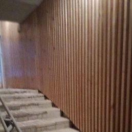 ���� �����, ������, 49 ��� - ��������� 7 ������ 2024