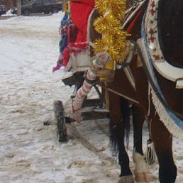 �����, �����, 47 ���