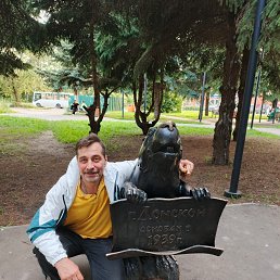 ��������� �����������, 55 ���, ������