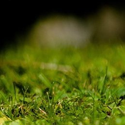 ������, ������, 45 ���