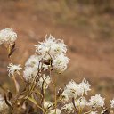 ���� �.�., ���� - ��������� 14 ������� 2025 � ������ �����������.�����.��������