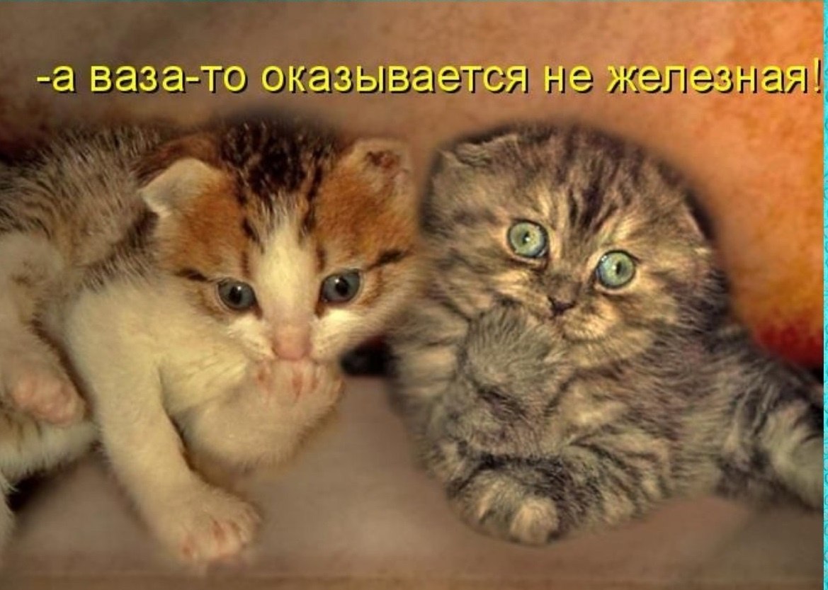 ОБО ВСЕМ - 18 октября 2025 в 21:29