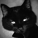 ���� ��������, ������, 43 ���� - ��������� 15 ���� 2025