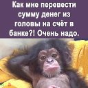 ���� �����, �����������, 64 ���� - ��������� 26 ������ 2025 � ������ ���� ����������