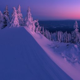 ���� A, ���� - ��������� 18 ������� 2026