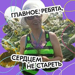 ���� ����� ��������., ����, 50 ��� - ��������� 20 ������ 2025