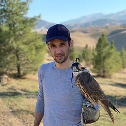 �����, ������, 40 ���