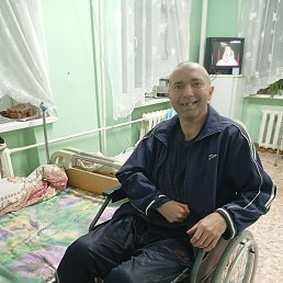 �����, ������, 36 ���