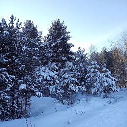 ���� ����, ������, 36 ��� - ��������� 18 ������ 2024