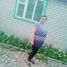 ���� �������, ����, 48 ��� - ��������� 22 ������ 2026