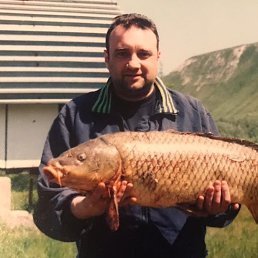 �����, 42 ����, ������