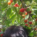 ���� �������, ���������, 52 ���� - ��������� 2 ���� 2025