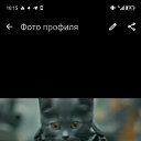 ���� �����, ���������, 64 ���� - ��������� 6 ������� 2025 � ������ ���� ����������