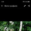���� �������, �����-���������, 54 ���� - ��������� 27 ������ 2025 � ������ ���� ����������
