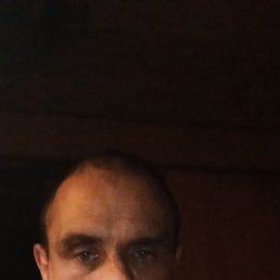 , 44, 