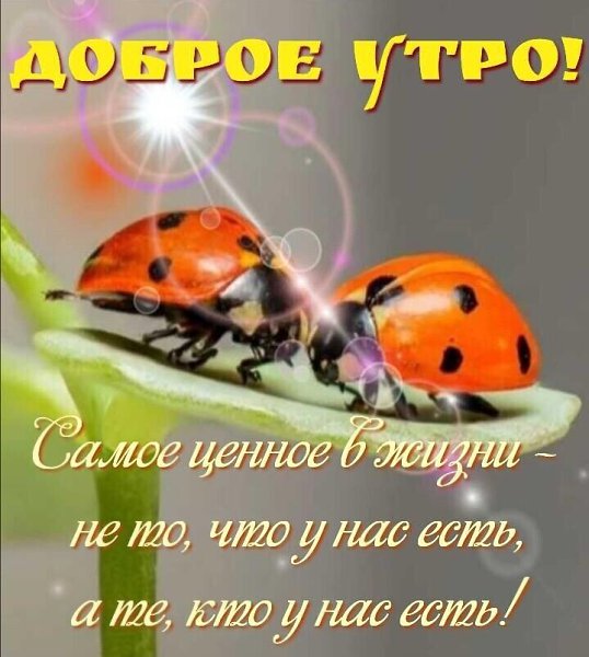   ,    . - 20  2024  10:33