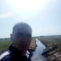 ����, �������, 43 ����