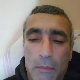 Maqamed, 49, 